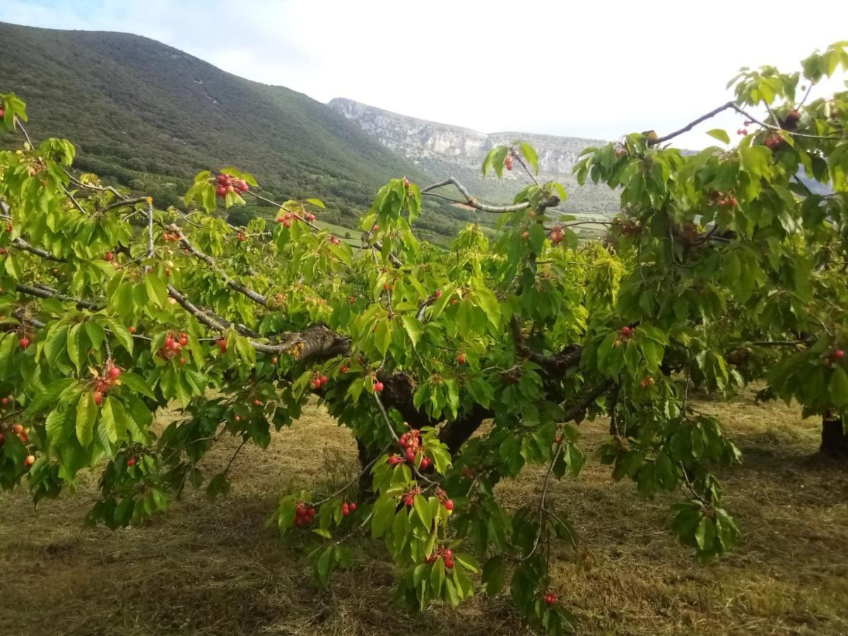 Casa Rural Ibarbegi II Appartamento Vidaurreta Esterno foto